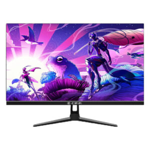 Màn hình Gaming E-DRA EGM27F1 27 inch FHD IPS (165Hz/IPS/FHD/HDMI)