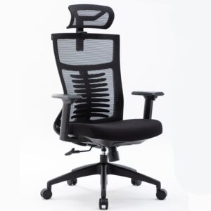 Ghế Warrio Ẻgonomic Chair - Hero WEC502 Black cong thái học